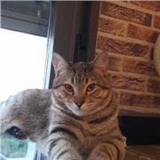 Clases particulares como apoyo escolar, máximo bachillerato